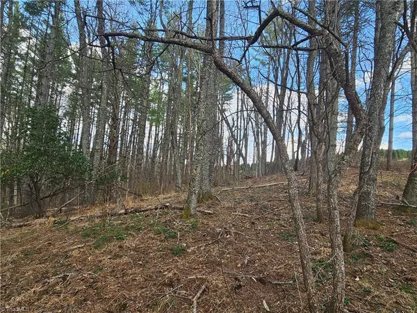 $90,000 | Tbd Panorama Drive, Todd, NC 28684