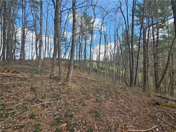 $90,000 | Tbd Panorama Drive, Todd, NC 28684