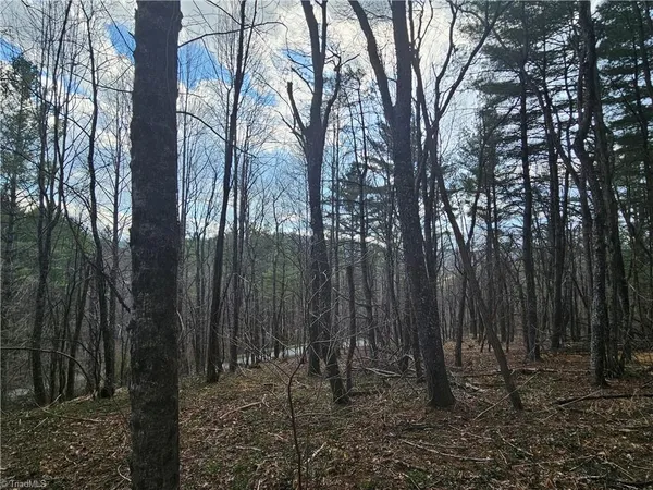 $90,000 | Tbd Panorama Drive, Todd, NC 28684