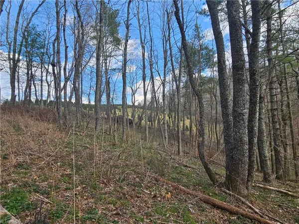 $90,000 | Tbd Panorama Drive, Todd, NC 28684