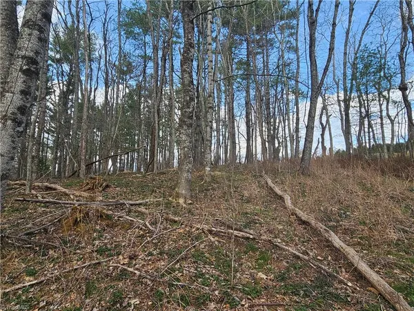 $90,000 | Tbd Panorama Drive, Todd, NC 28684