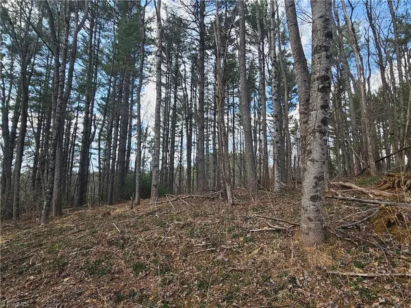 $90,000 | Tbd Panorama Drive, Todd, NC 28684