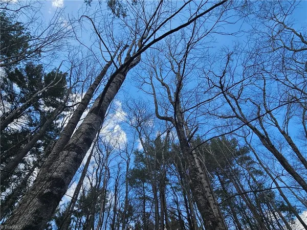 $90,000 | Tbd Panorama Drive, Todd, NC 28684