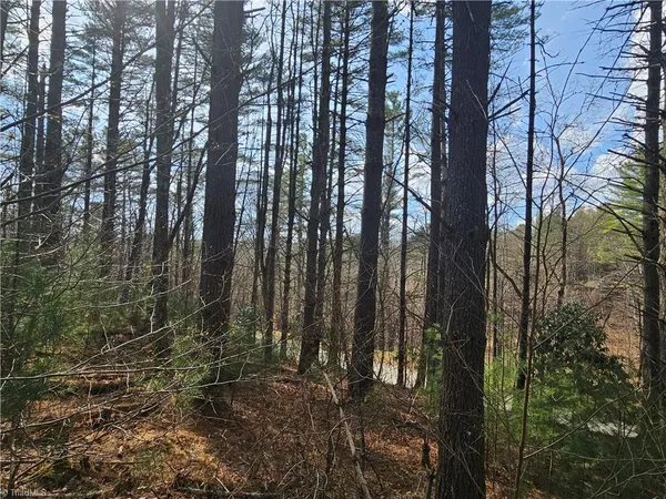 $90,000 | Tbd Panorama Drive, Todd, NC 28684