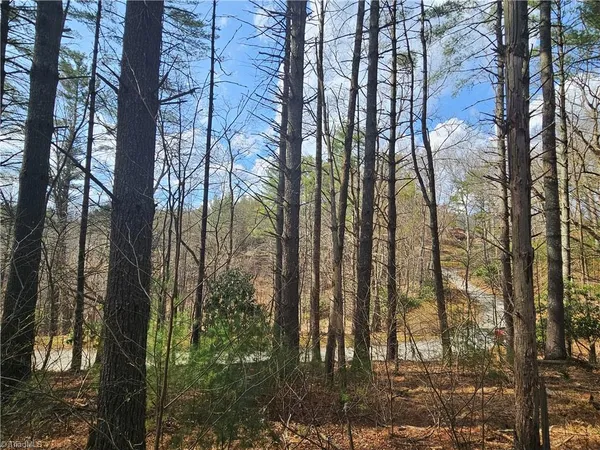 $90,000 | Tbd Panorama Drive, Todd, NC 28684