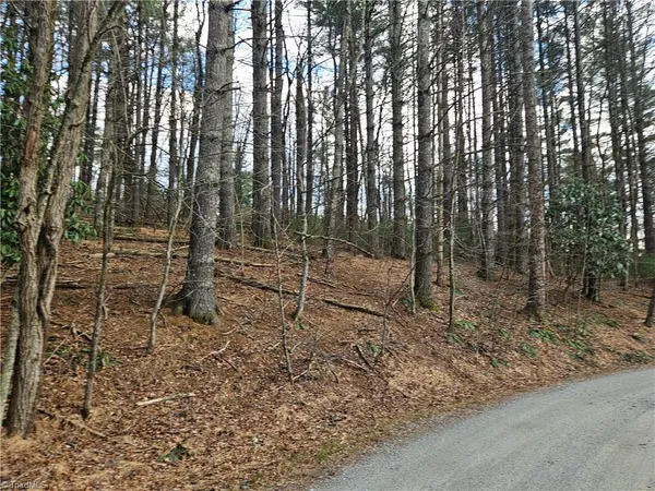 $90,000 | Tbd Panorama Drive, Todd, NC 28684