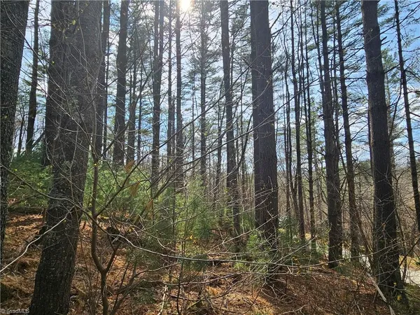 $90,000 | Tbd Panorama Drive, Todd, NC 28684
