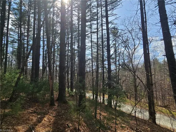 $90,000 | Tbd Panorama Drive, Todd, NC 28684