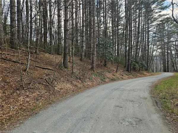 $90,000 | Tbd Panorama Drive, Todd, NC 28684