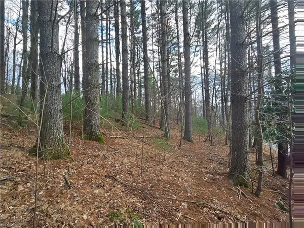 $90,000 | Tbd Panorama Drive, Todd, NC 28684