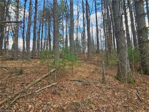 $90,000 | Tbd Panorama Drive, Todd, NC 28684