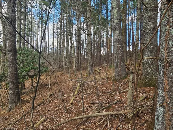 $90,000 | Tbd Panorama Drive, Todd, NC 28684