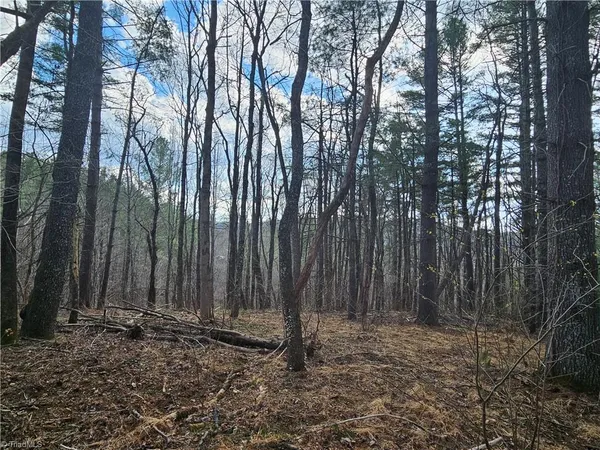 $90,000 | Tbd Panorama Drive, Todd, NC 28684