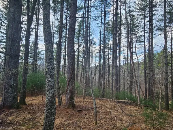 $90,000 | Tbd Panorama Drive, Todd, NC 28684