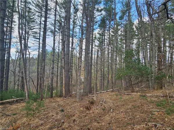$90,000 | Tbd Panorama Drive, Todd, NC 28684