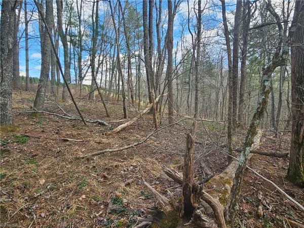 $90,000 | Tbd Panorama Drive, Todd, NC 28684