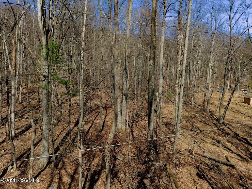 Squirrel Lane Shickshinny, PA 18655 - Photo 29 of 50