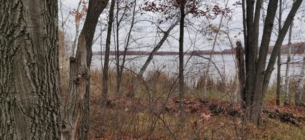 $89,500 | Tbd Snowshoe Trail, Staples, MN 56479