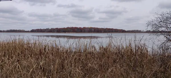 $89,500 | Tbd Snowshoe Trail, Staples, MN 56479