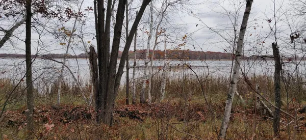 $89,500 | Tbd Snowshoe Trail, Staples, MN 56479