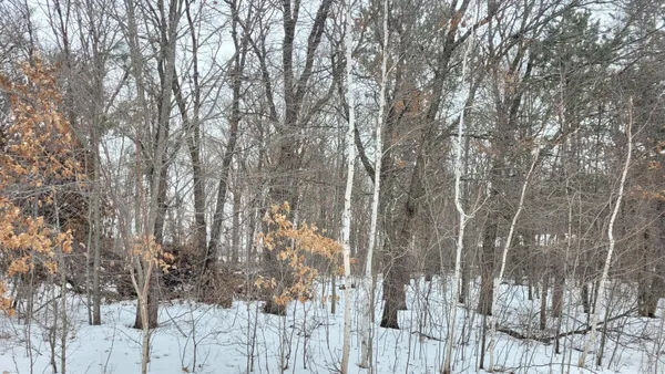 $89,500 | Tbd Snowshoe Trail, Staples, MN 56479