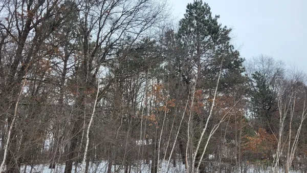 $89,500 | Tbd Snowshoe Trail, Staples, MN 56479