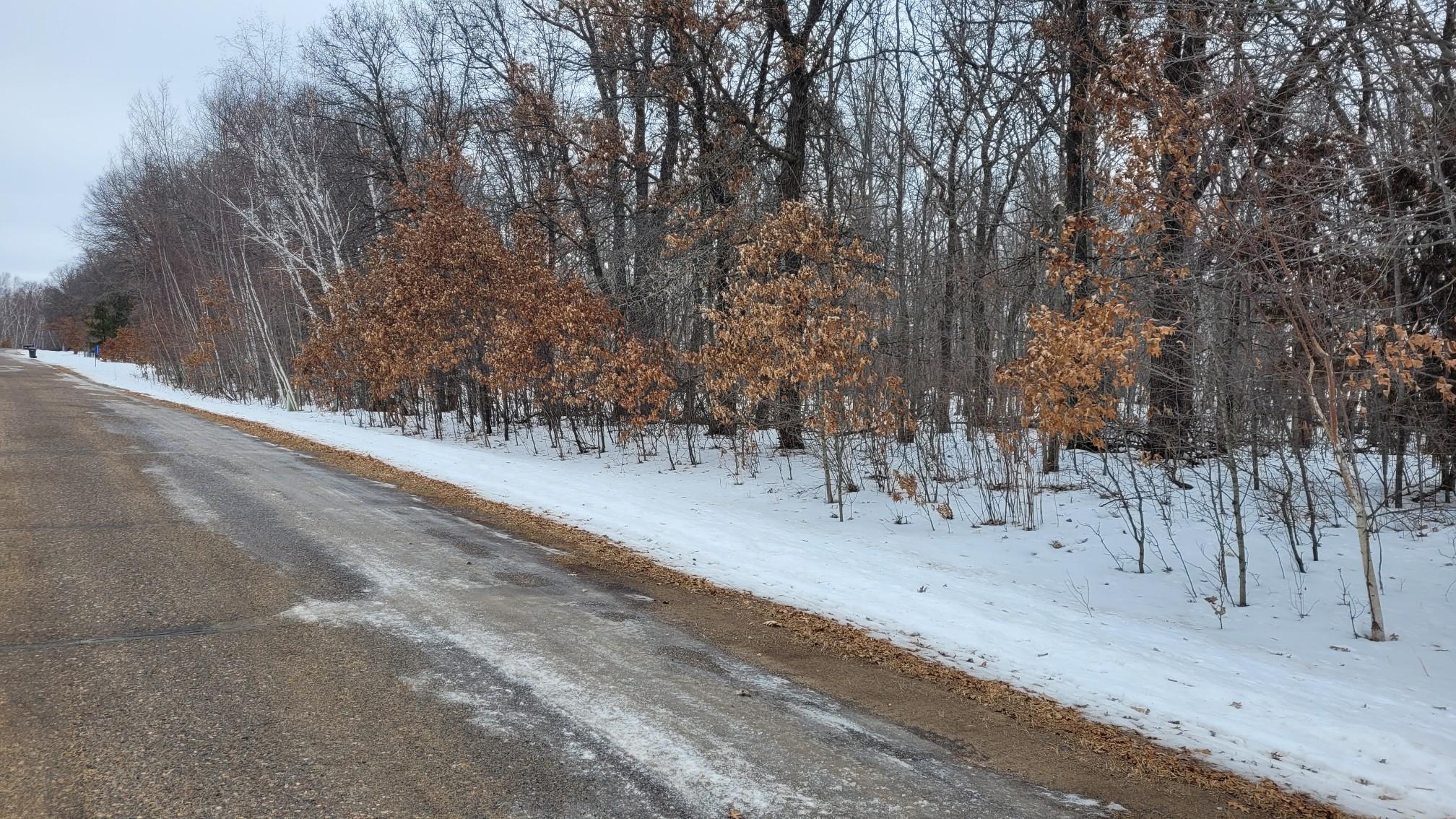 Tbd Snowshoe Trail Staples, MN 56479 - Photo 6 of 7