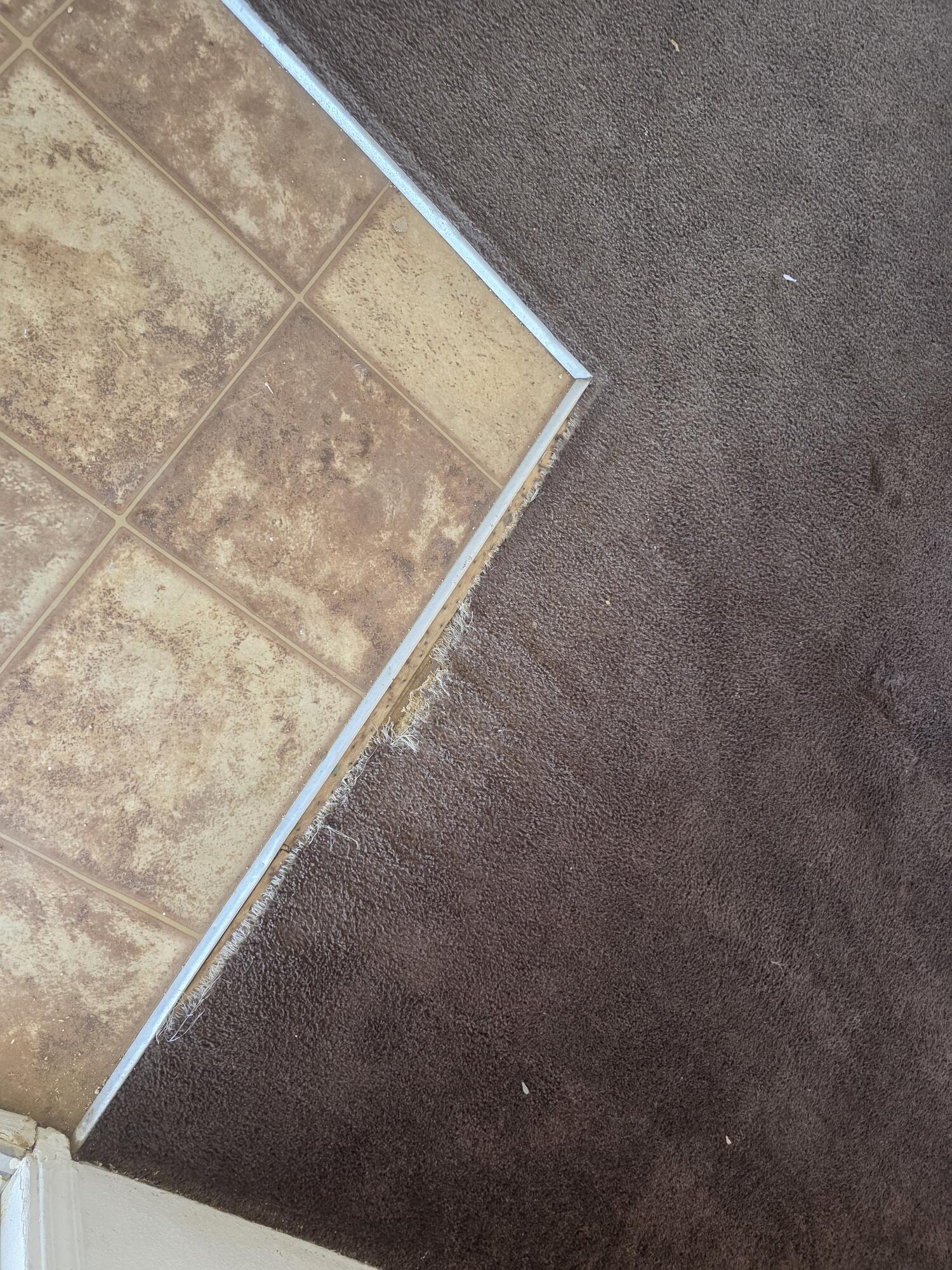 9572 Smith Road Phelan, CA 92371 - Photo 15 of 43 20251106_140641_resized