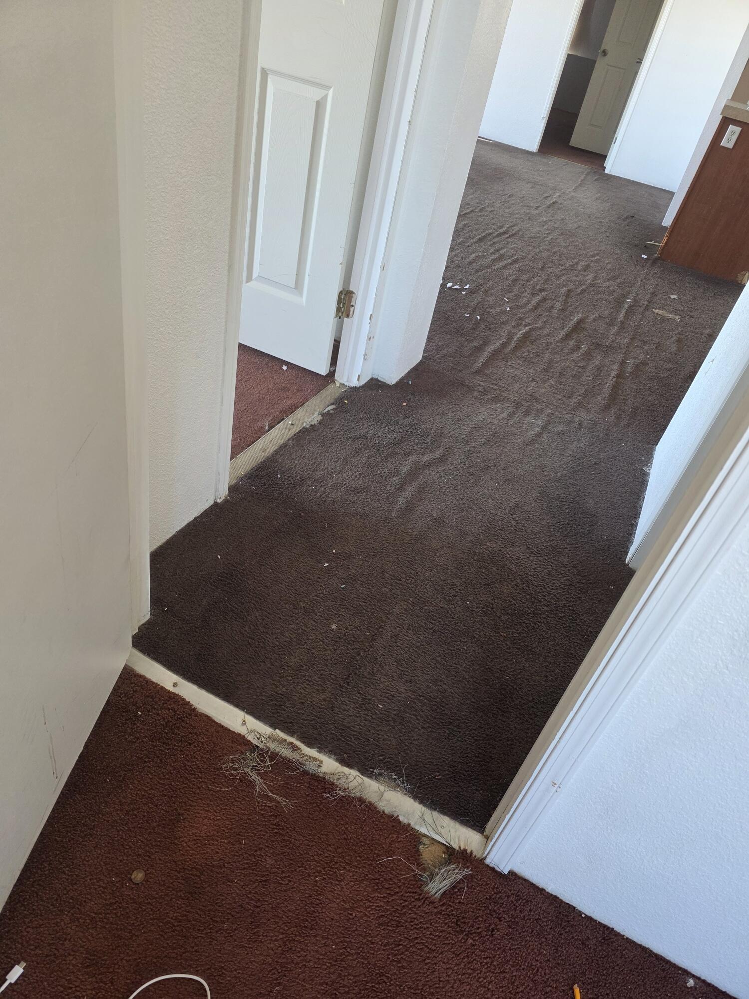 9572 Smith Road Phelan, CA 92371 - Photo 34 of 43 20251106_140449_resized