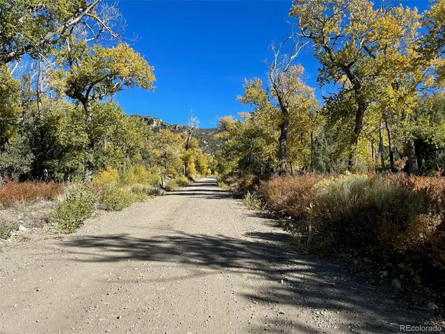 a view of a yard with a tree
