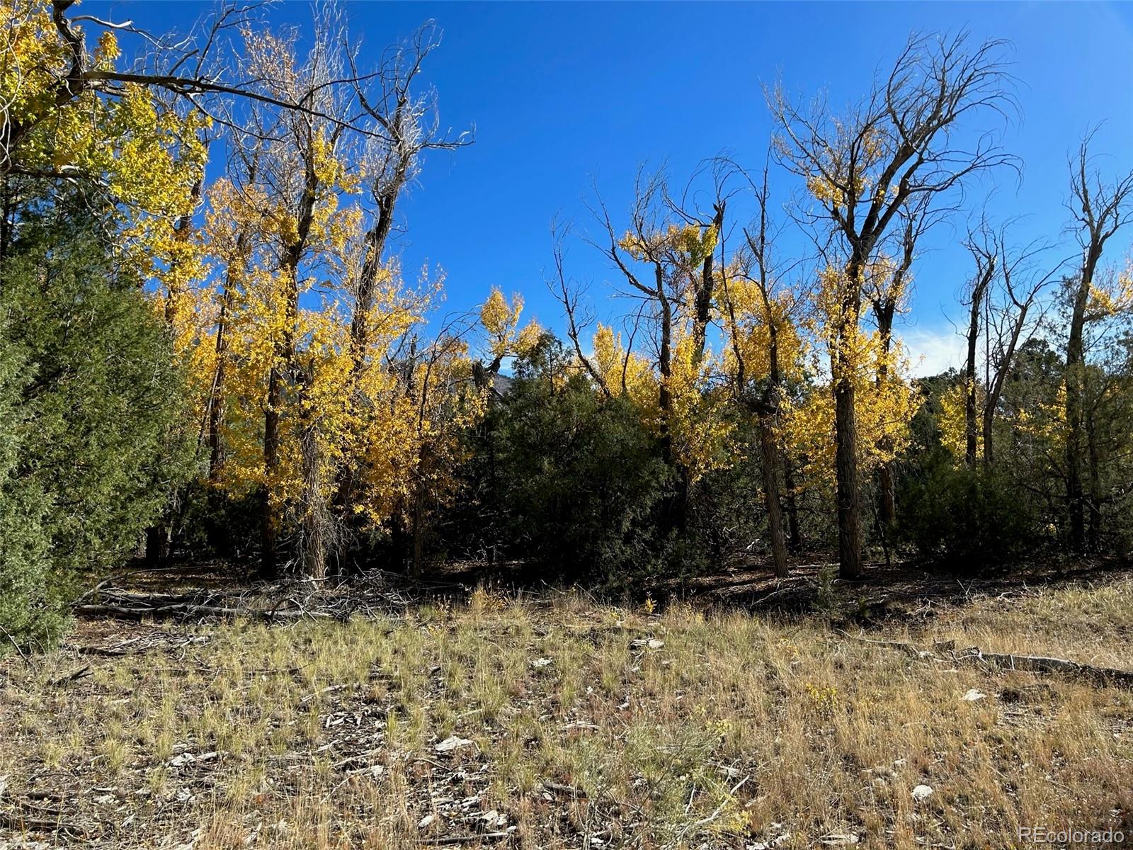 124 Indian Hill Road Mosca, CO 81146 - Photo 3 of 9 a view of a backyard of the house