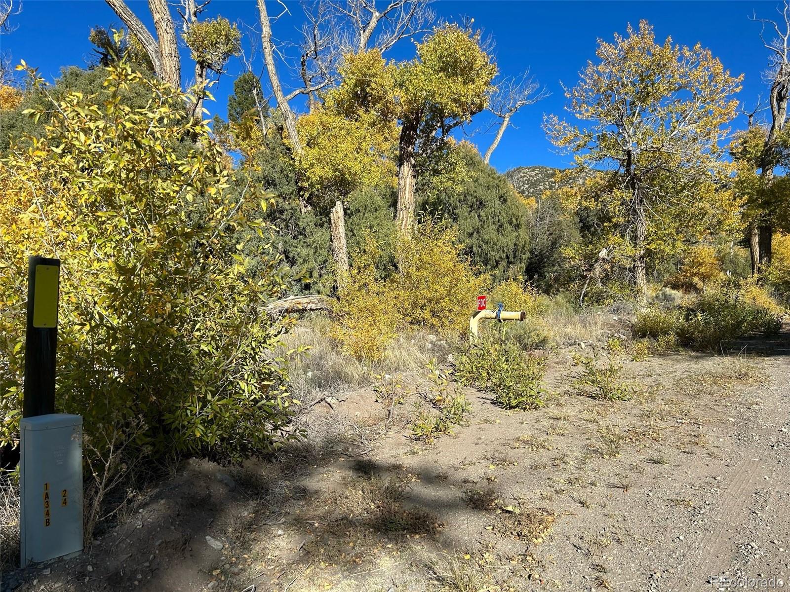 124 Indian Hill Road Mosca, CO 81146 - Photo 9 of 9 a view of a flower in a garden