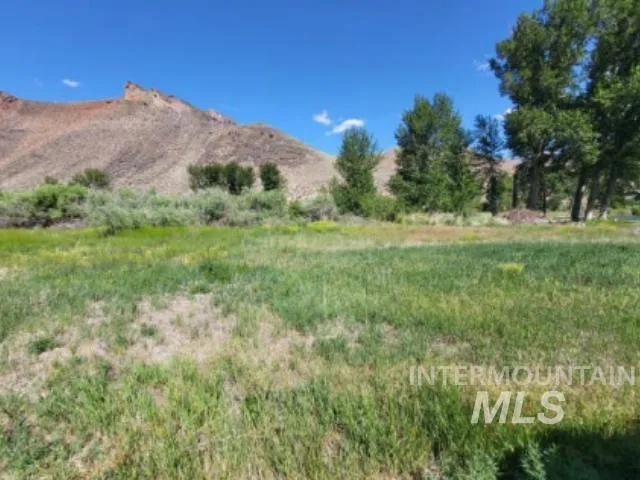 $80,000 | Tbd Agate Drive, Salmon, ID 83467