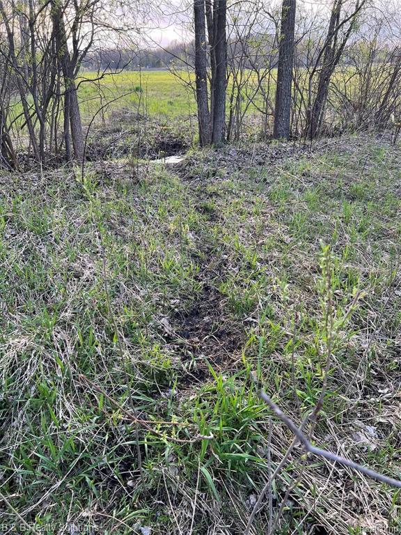 0 O Brien Road Mayville, MI 48744 - Photo 15 of 22