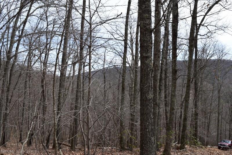 Norris Run Road Blacksburg, VA 24060 - Photo 16 of 21 Gallery Image 16