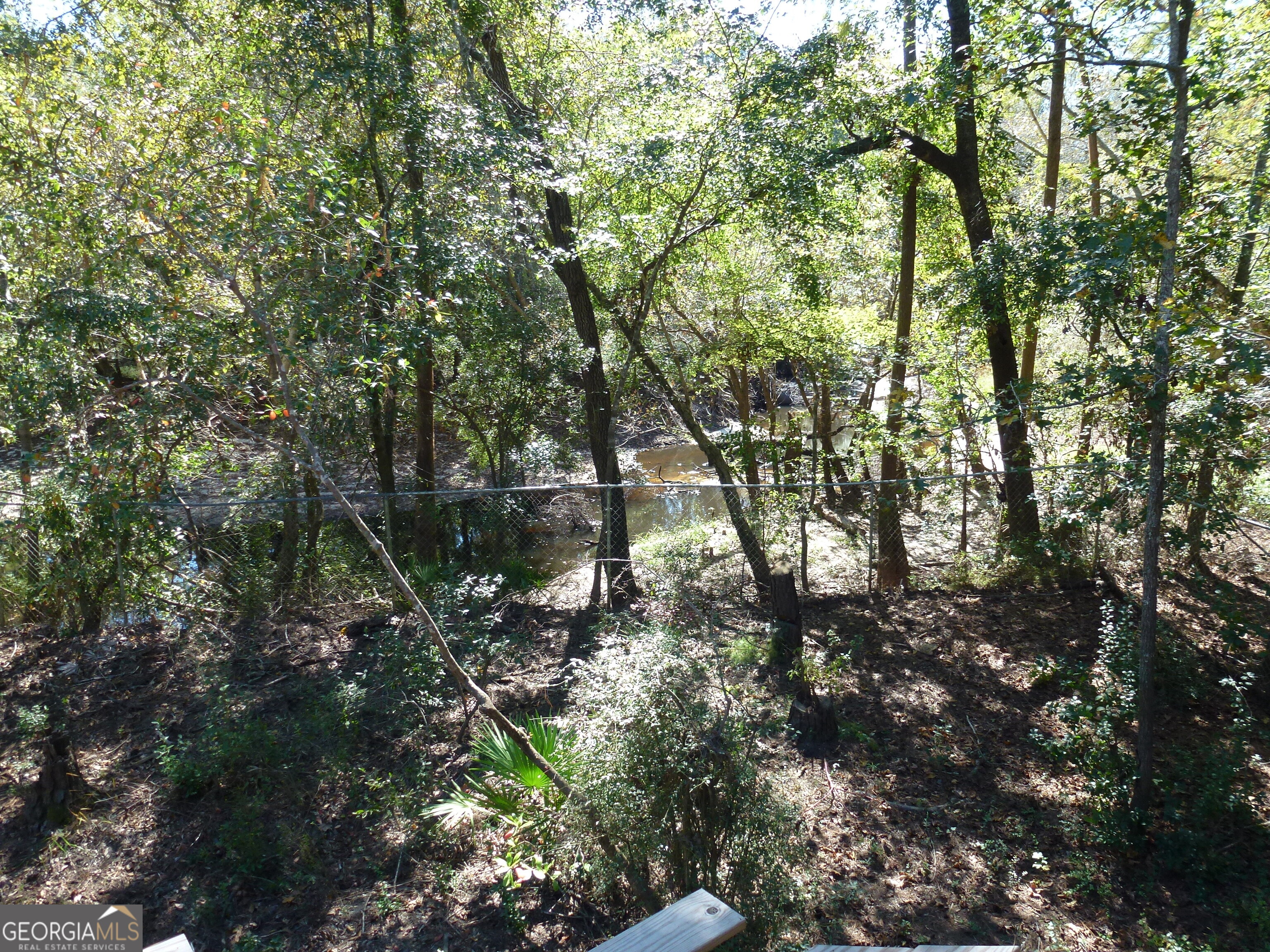 352 Riverside Drive Claxton, GA 30417 - Photo 23 of 25 a backyard of a house with lots of green space