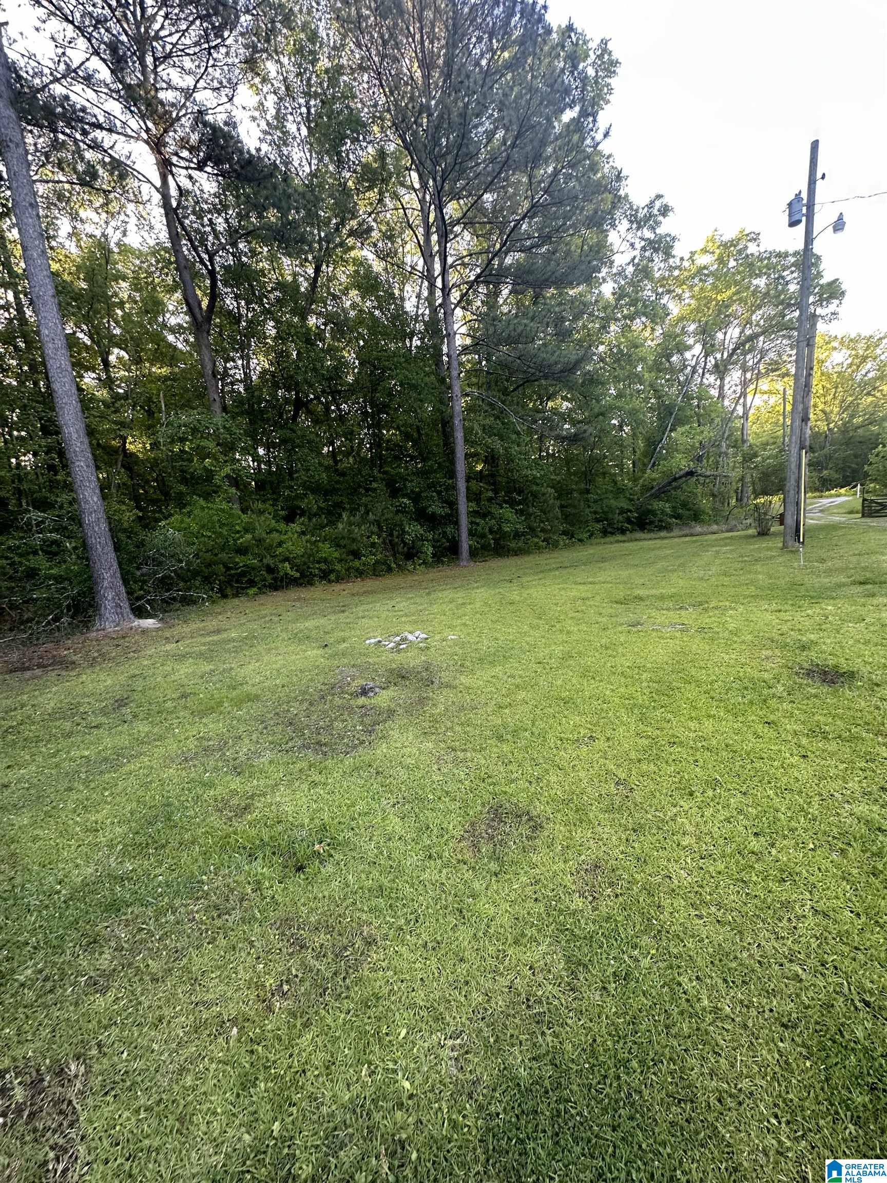 4175 Roy Road Bessemer, AL 35022 - Photo 11 of 12