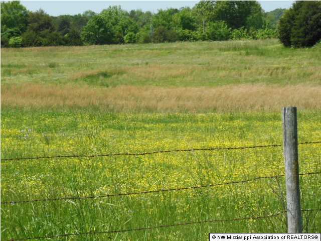 186 Bett Road Coldwater, MS 38618 - Photo 3 of 5 Additional Photo