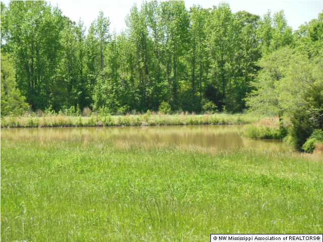 186 Bett Road Coldwater, MS 38618 - Photo 4 of 5 Additional Photo