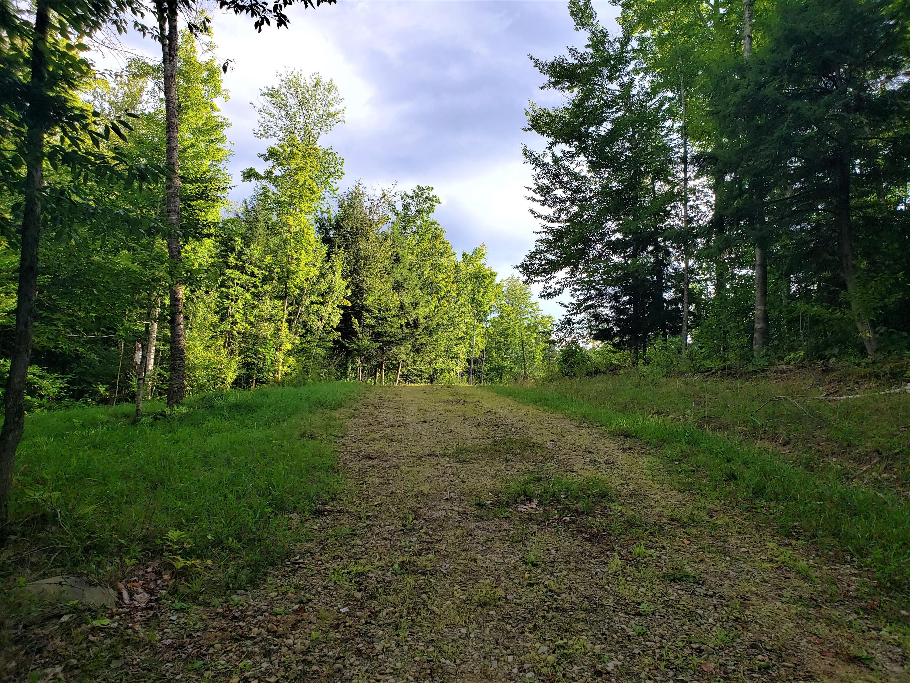 0 Stanley Road New Vineyard, ME 04956 - Photo 2 of 20 20220816_173128 (2)