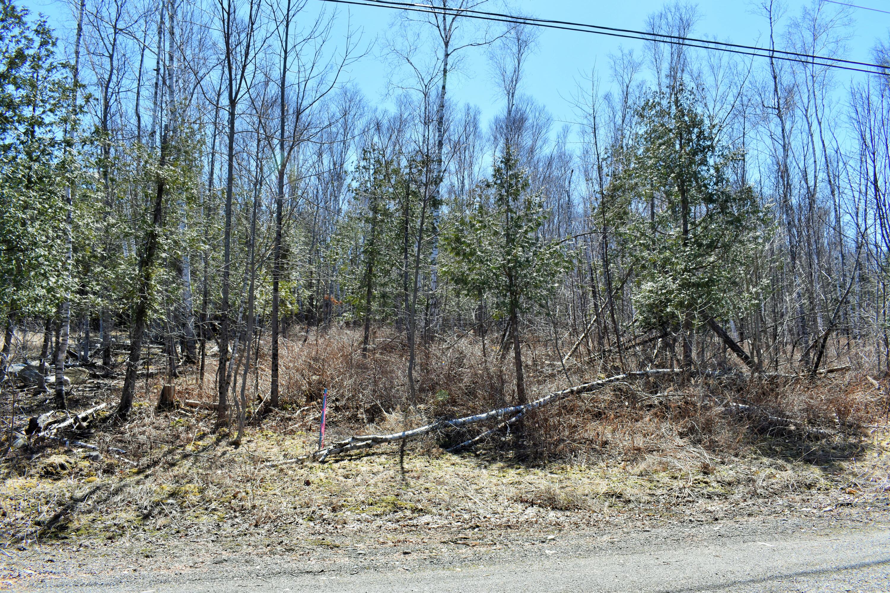 90 Cotta Lane St. Albans, ME 04971 - Photo 19 of 24 DSC_0465