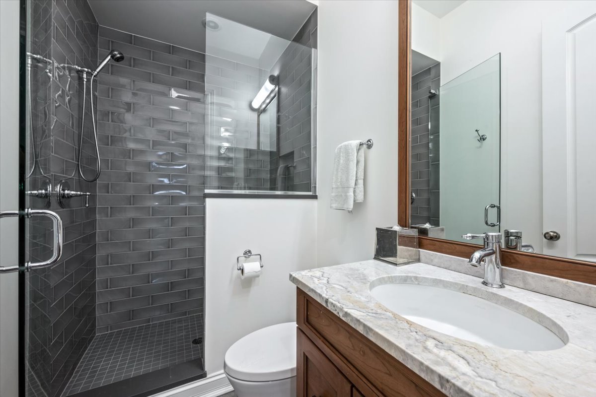 441 West Deming Place Chicago, IL 60614 - Photo 5 of 52