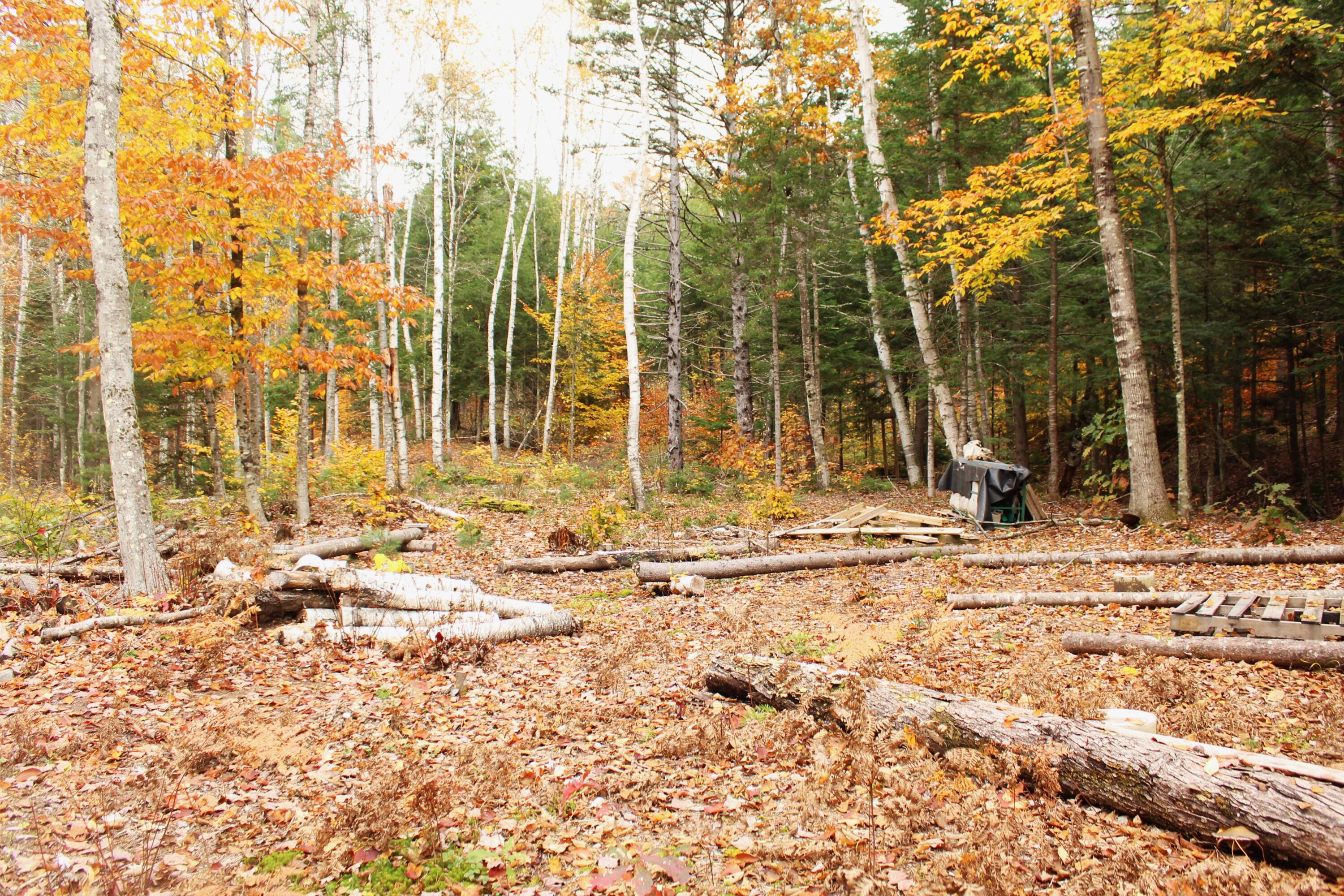 Lot # South Barbour Road Stow, ME 04037 - Photo 6 of 36 Lower landing by stream