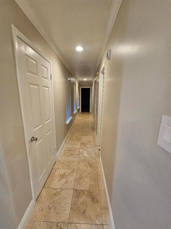 17210 Cutter Way Crosby, TX 77532 - Photo 3 of 10