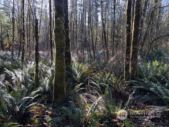 4 Jensen Road Onalaska, WA 98570 - Photo 18 of 40 Gallery Image 18