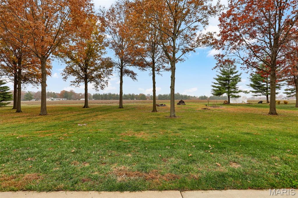 12926 Maple Street Highland, IL 62249 - Photo 27 of 39