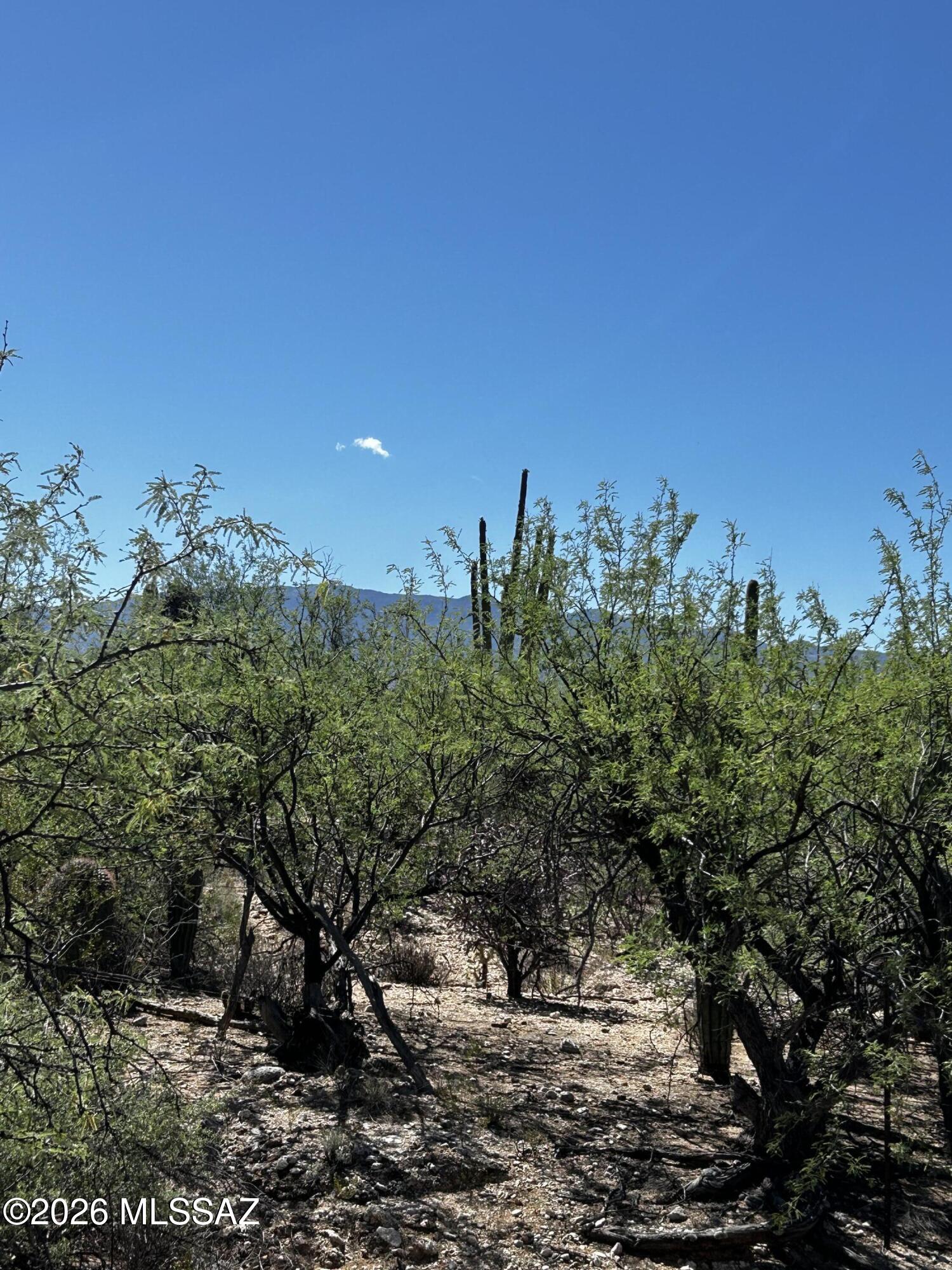 East Roger Road, Unit 46 Tucson, AZ 85749 - Photo 29 of 38