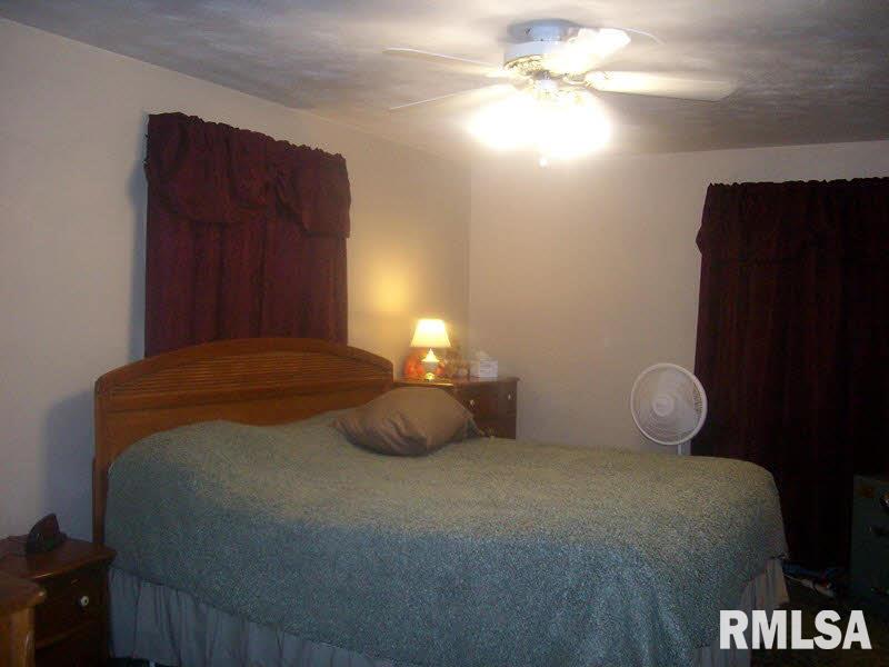 3366 Levee Road Centralia, IL 62801 - Photo 3 of 9