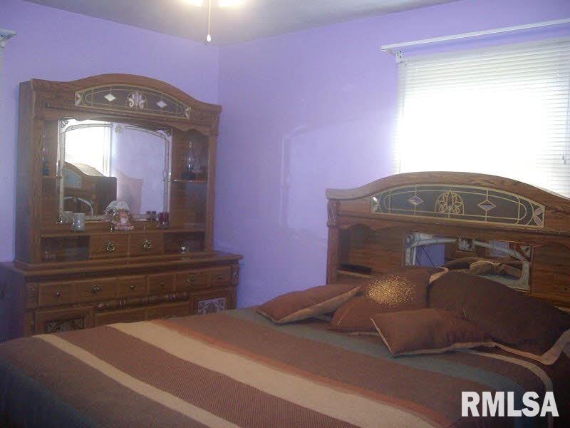 3366 Levee Road Centralia, IL 62801 - Photo 4 of 9