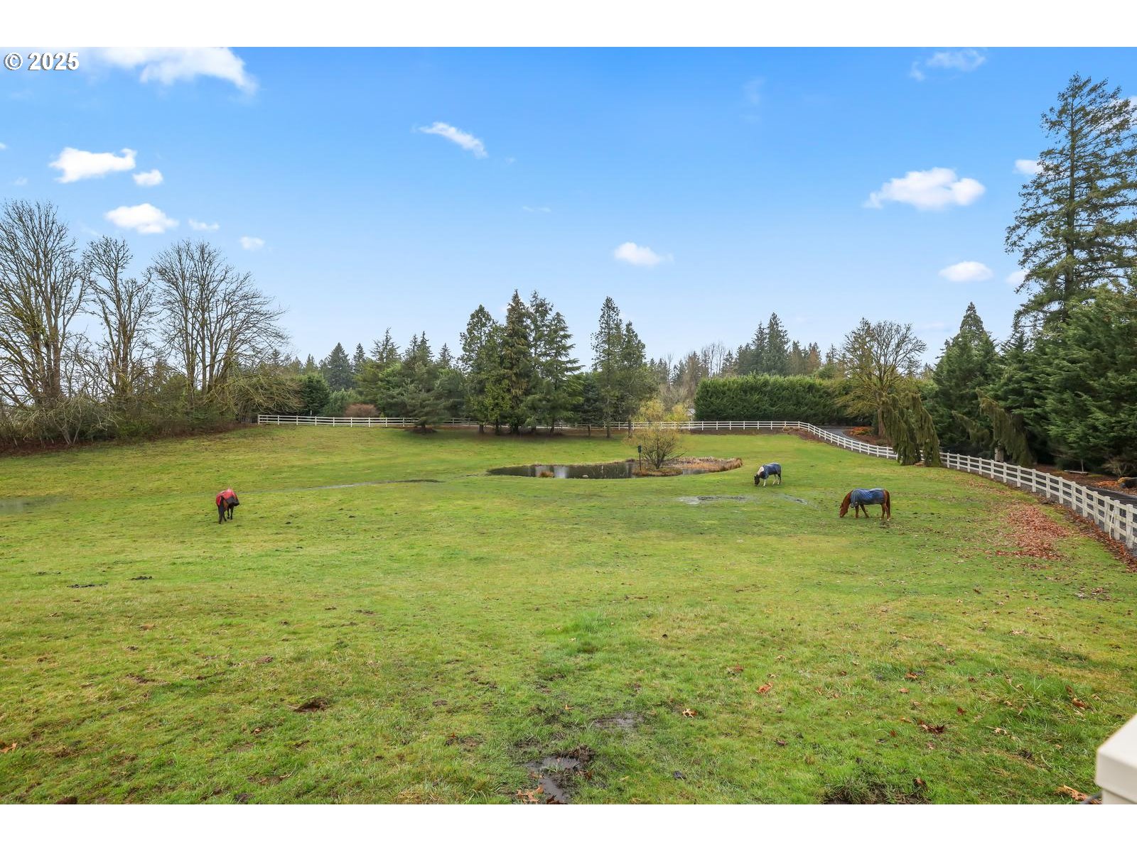 29720 Northeast Timmen Road Ridgefield, WA 98642 - Photo 45 of 48